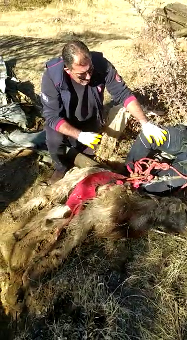 Elazığ'da kuyuya düşen keçi kurtarıldı